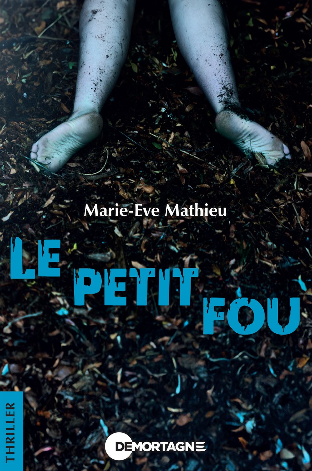 Couverture : Le petit fou, par Marie-Eve Mathieu. Roman publié aux Éditions de Mortagne.